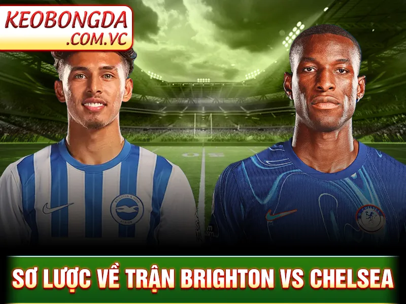 Sơ lược về trận Brighton vs Chelsea