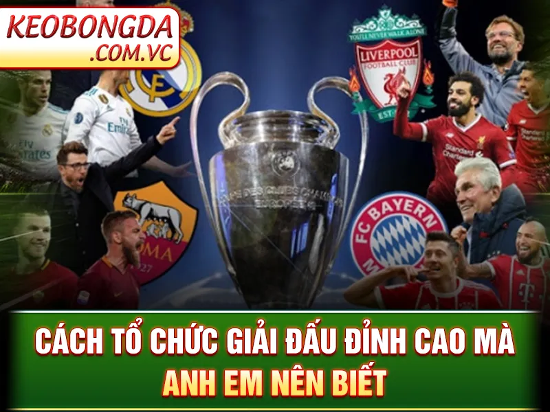 Cách tổ chức giải đấu đỉnh cao mà anh em nên biết