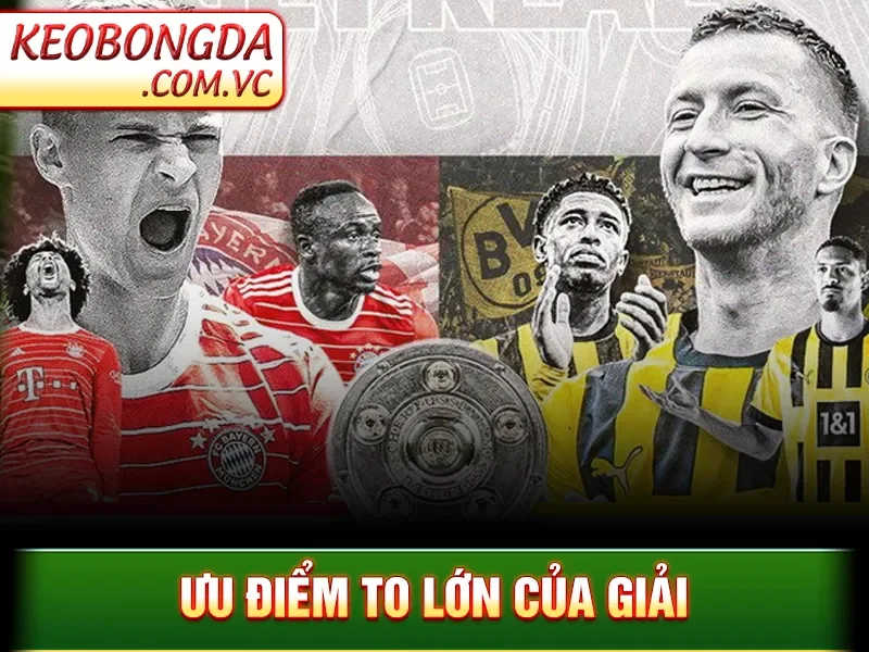 Ưu điểm to lớn của giải